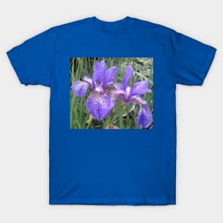 Blue irises with raindrops photograph T-Shirt